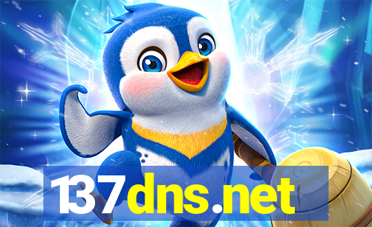 137dns.net