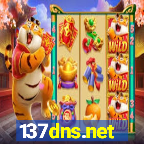137dns.net