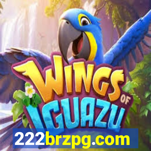 222brzpg.com