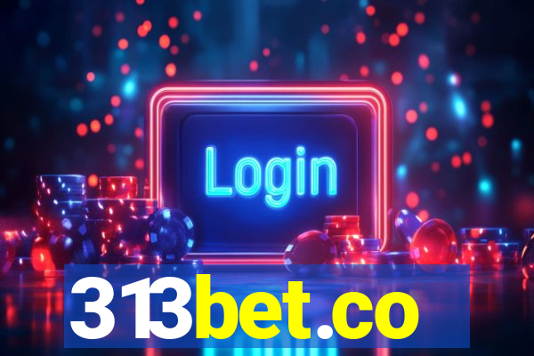 313bet.co