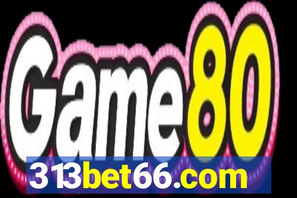 313bet66.com