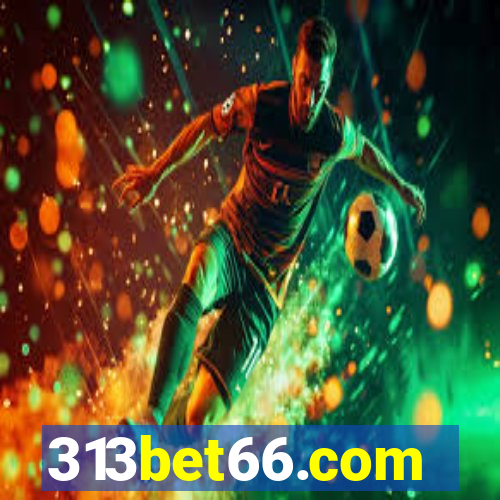 313bet66.com