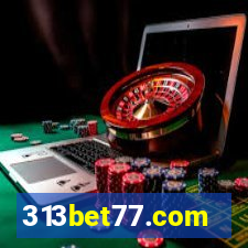 313bet77.com