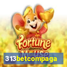 313betcompaga