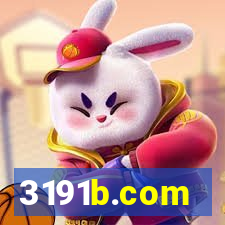 3191b.com