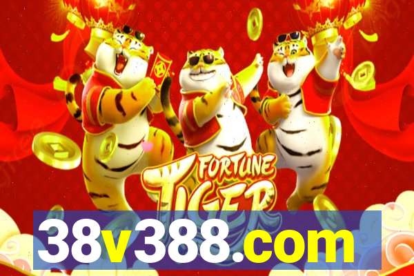 38v388.com