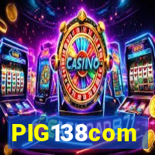 PIG138com