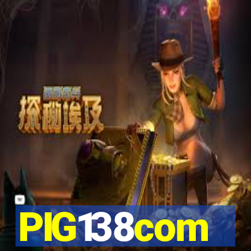 PIG138com