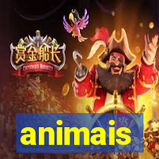 animais-pg.com