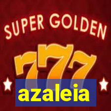 azaleia-br.com