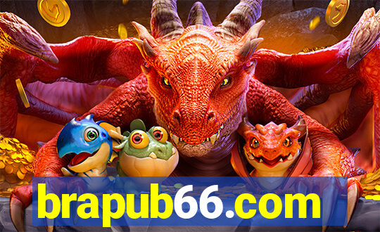brapub66.com
