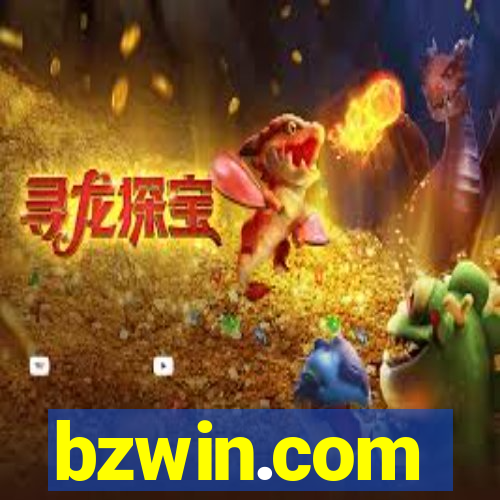 bzwin.com
