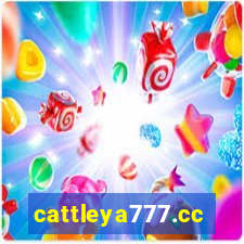 cattleya777.cc