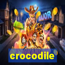 crocodile-pg.com