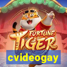 cvideogay