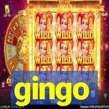 gingo