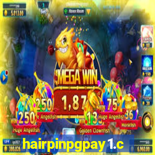 hairpinpgpay1.com