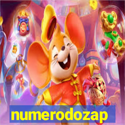numerodozap