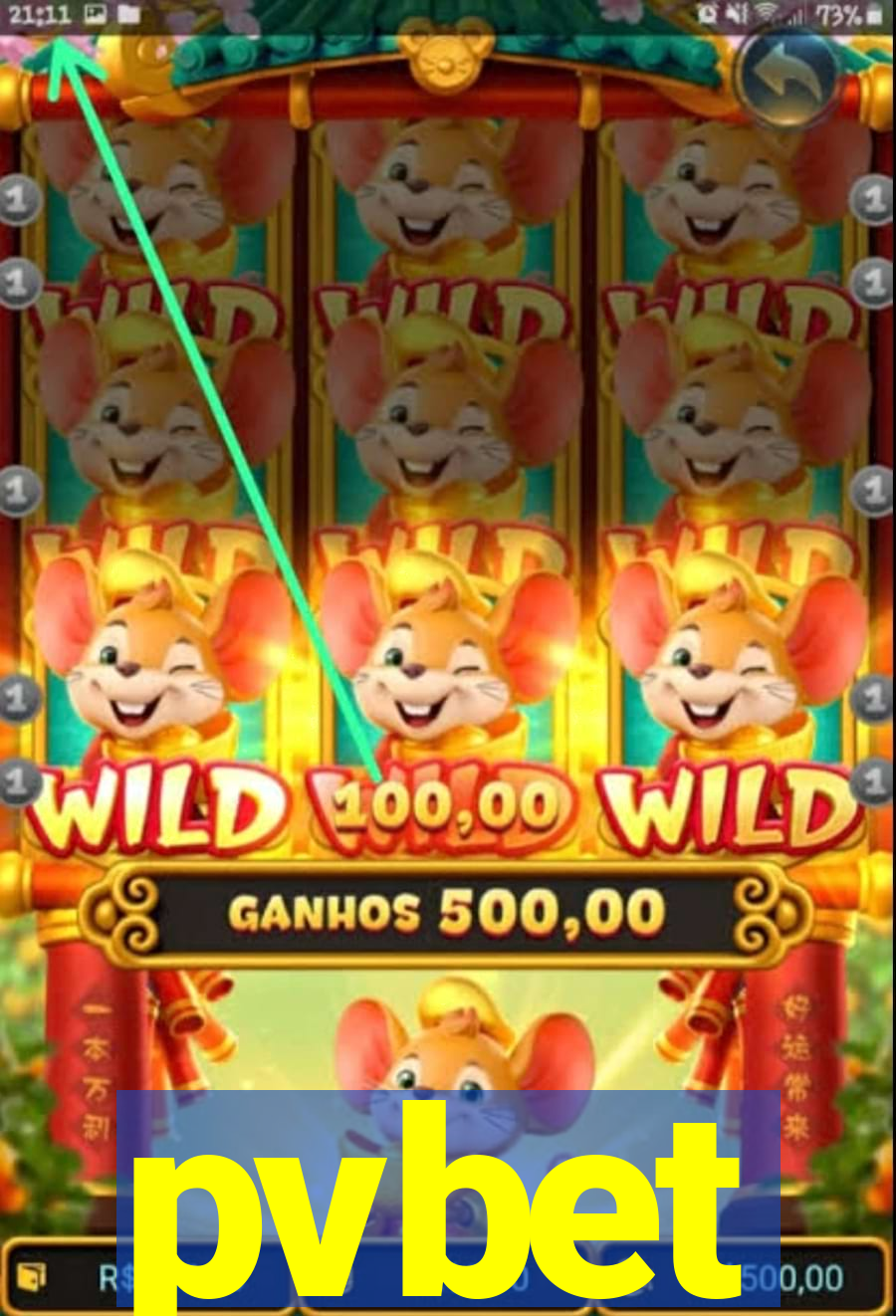 pvbet