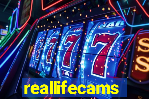 reallifecams