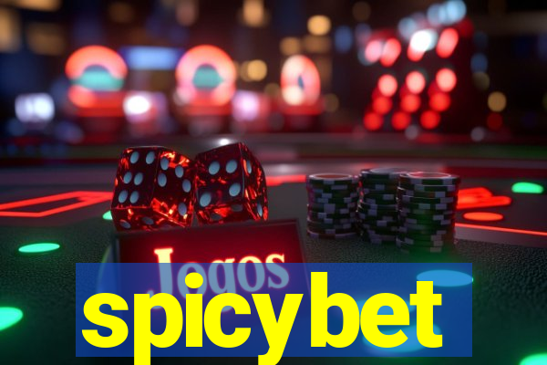 spicybet-3.com