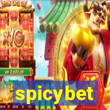 spicybet-3.com