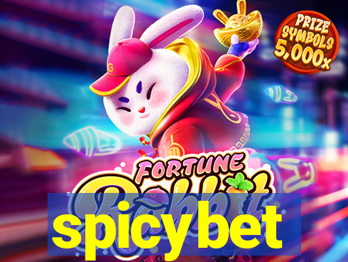 spicybet-5.com