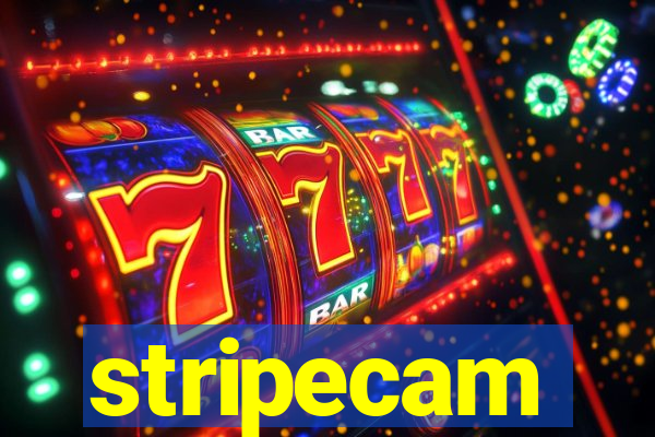 stripecam