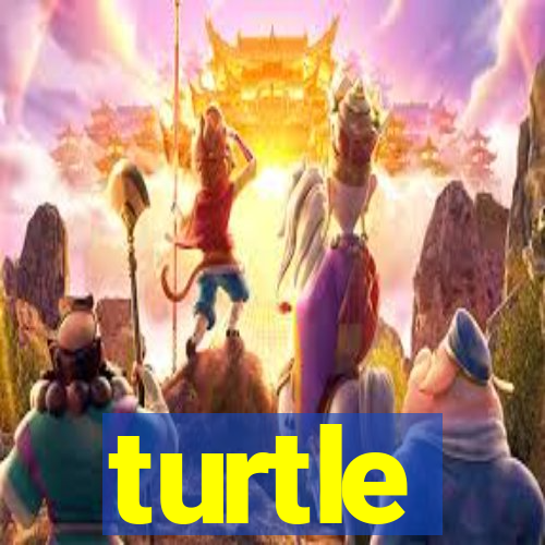 turtle-ty.com