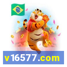 v16577.com